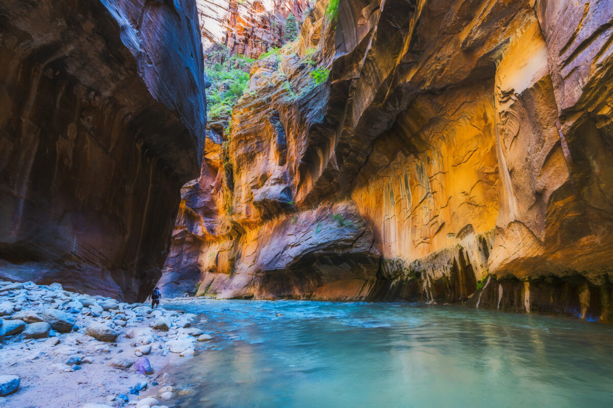 Virgin River in Zion National Park - Best National Parks to Visit in Spring 2023