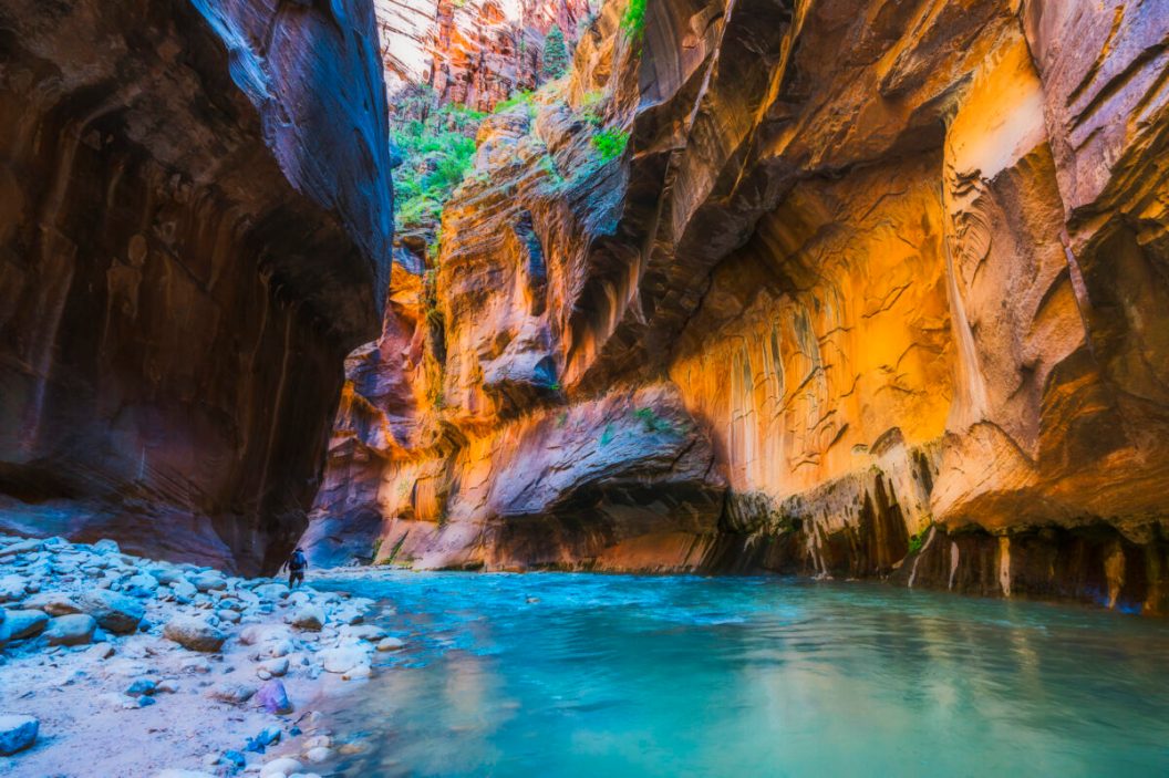 Virgin River in Zion National Park - Best National Parks to Visit in Spring 2023