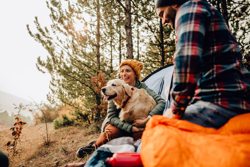 camping vs. glamping