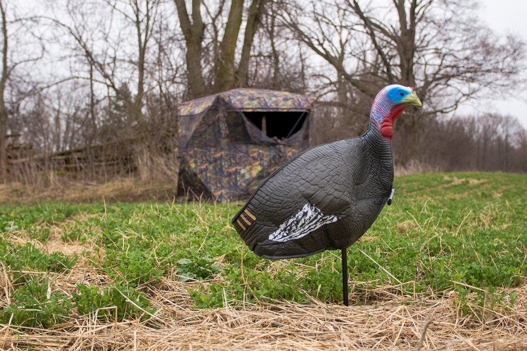 Lure Your Tom with This Gobbstopper Turkey Decoy Combo, on Sale Right Now for 30 Off Wide