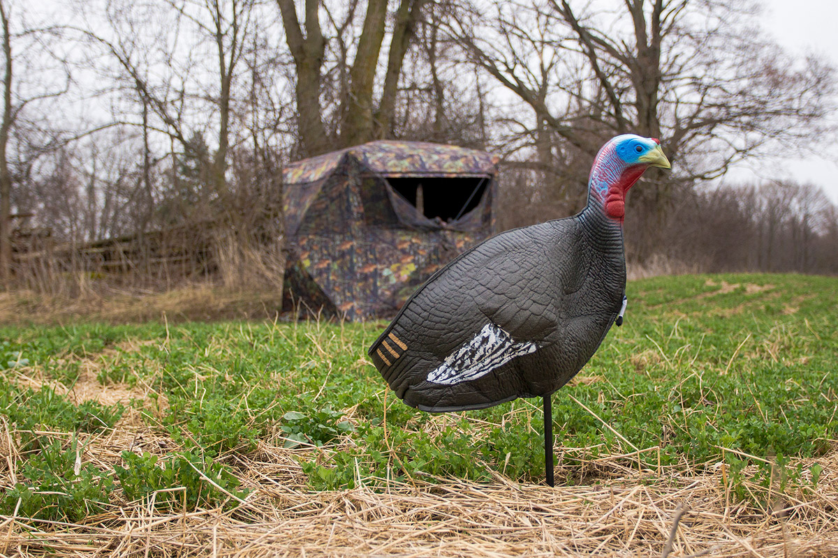 Lure Your Tom with This Gobbstopper Turkey Decoy Combo, on Sale Right
