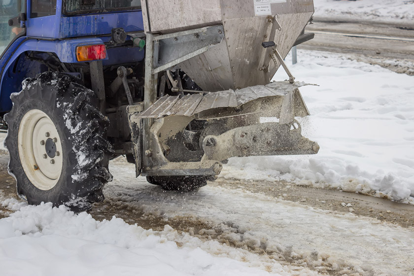 frost seeding