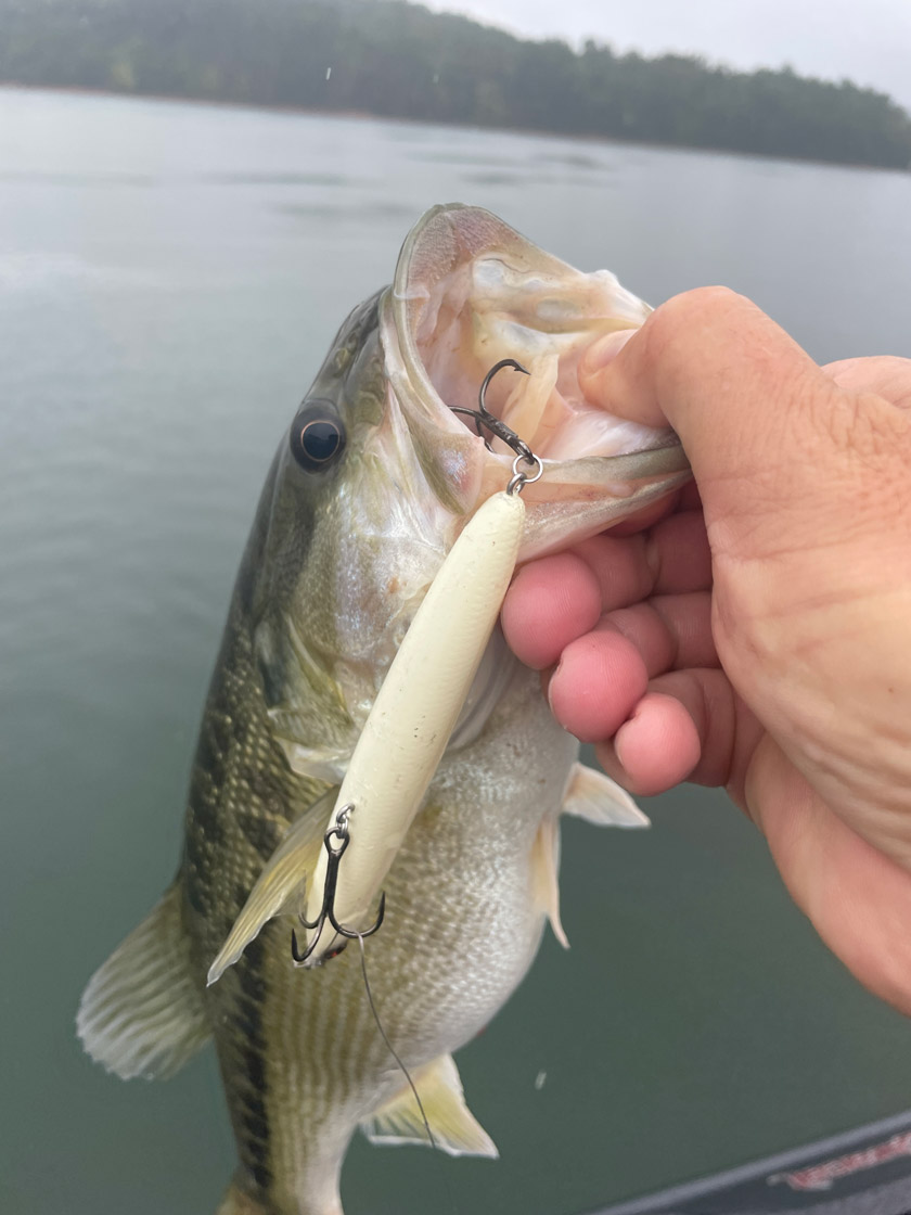 Topwater Baits What to Use, How to Fish Them