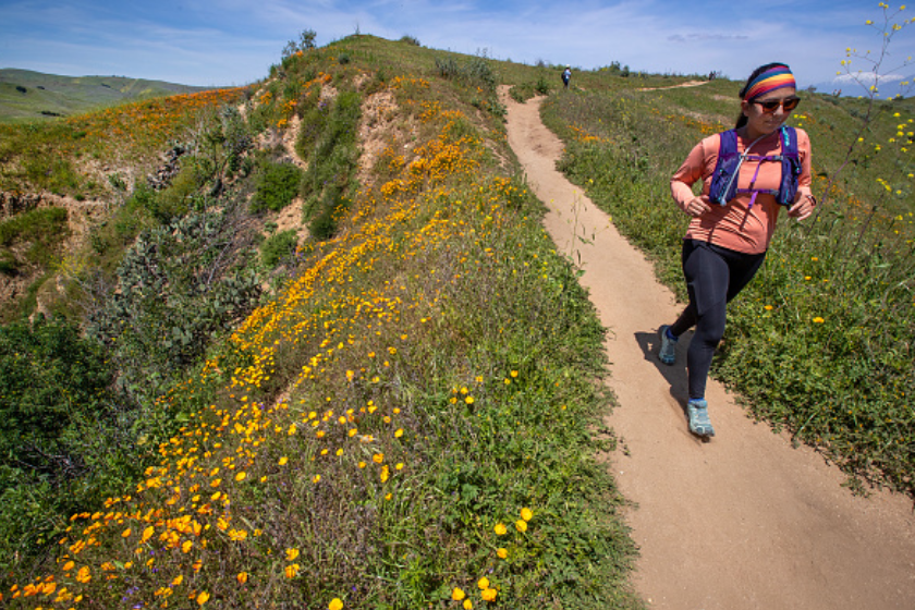 After multiple storms drenched Southern California, a person jogs past California poppies blooming under the warm sunshine as crowds hiked around to view the poppies and other wildflowers blooming at Chino Hills State Park in Chino Hills 