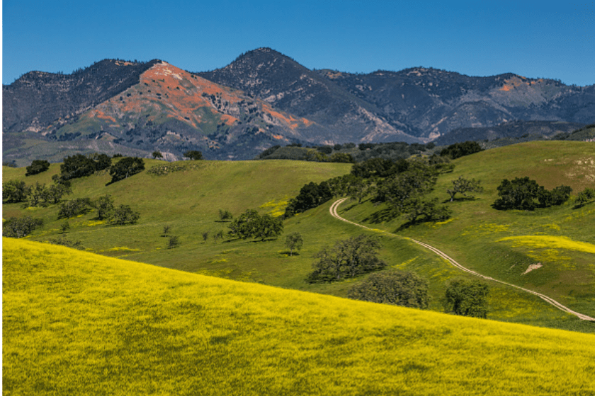 Grass Mountain 