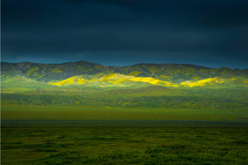 Carrizo Plain landscape 