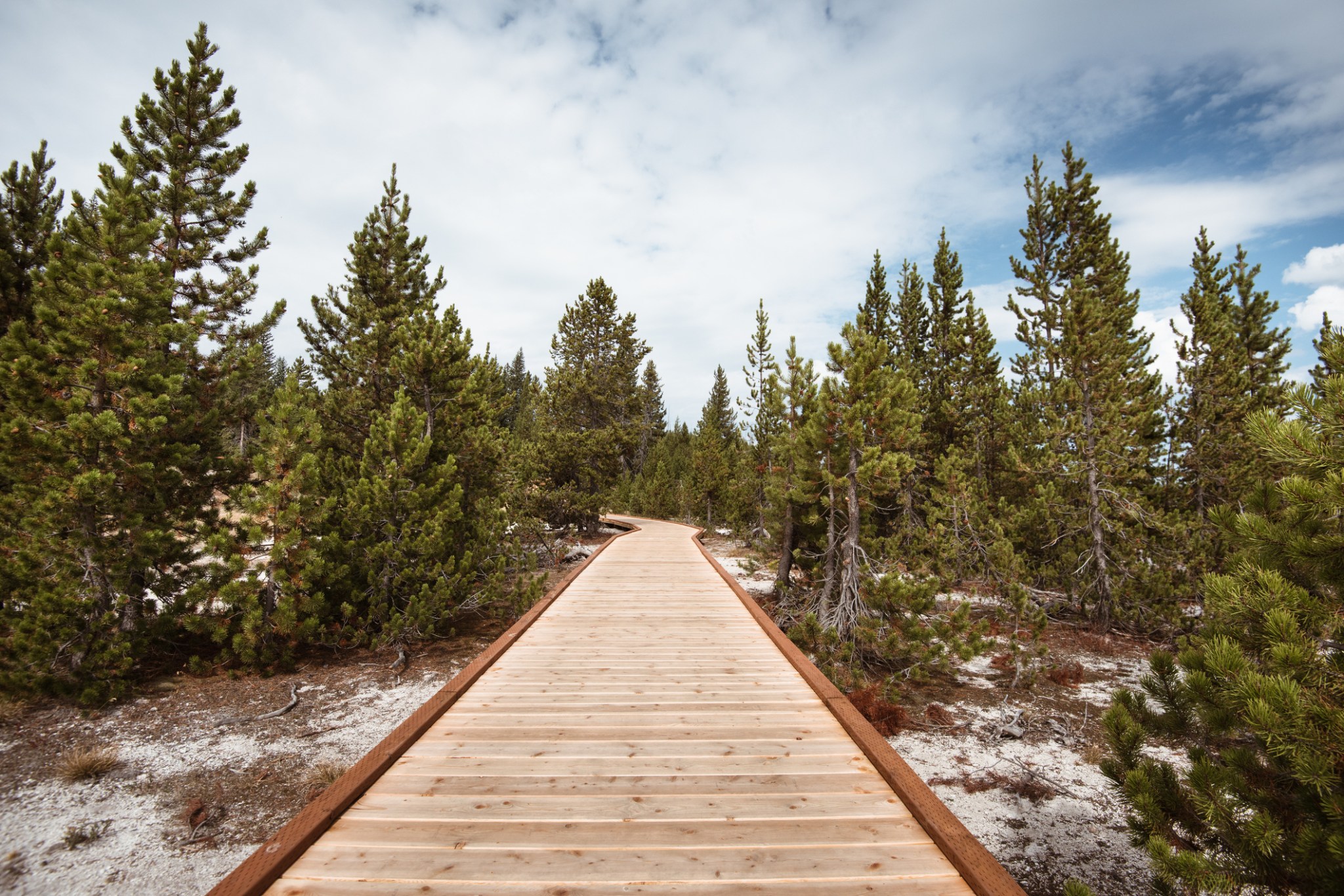 The Best WheelchairAccessible National Parks in the US
