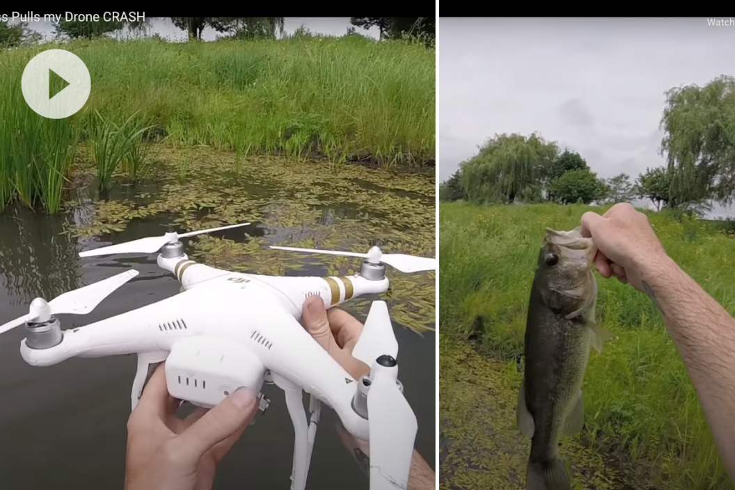 bass fish pulls drone into water