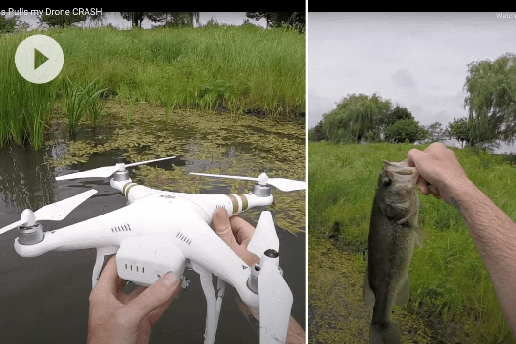 bass fish pulls drone into water