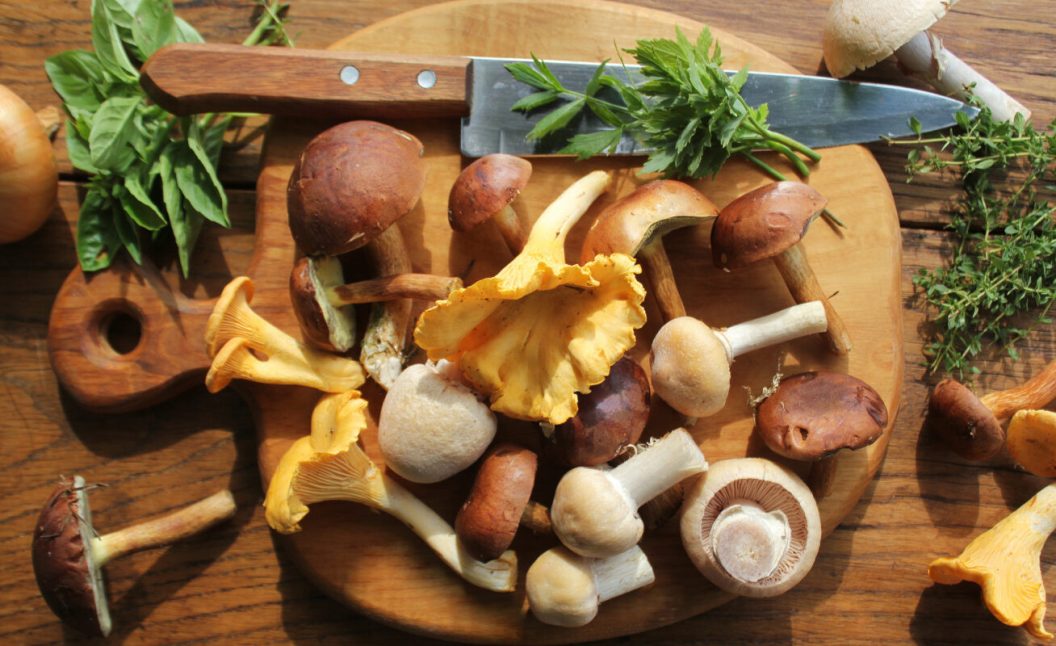 Cooking with different types of edible mushrooms foraged in the wild.