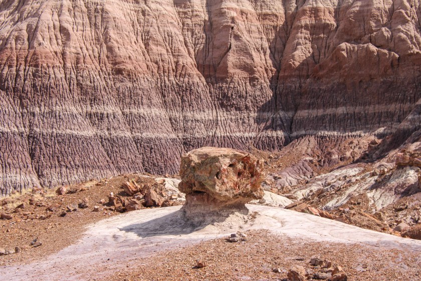 Big Petrified Wood on Blue Mesa Trail