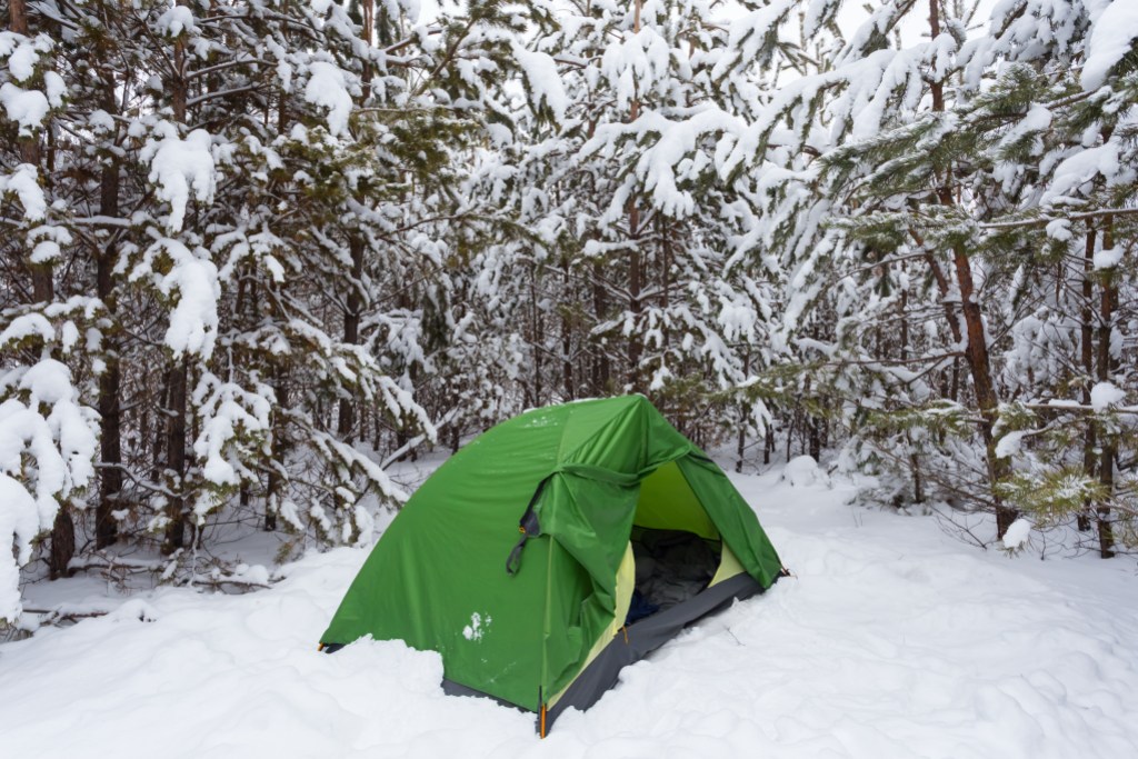 small green touristic tent on a pine tree forest glade in a snow, winter hiking scene