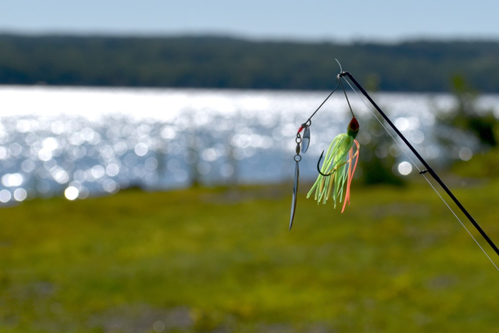 best bass lures