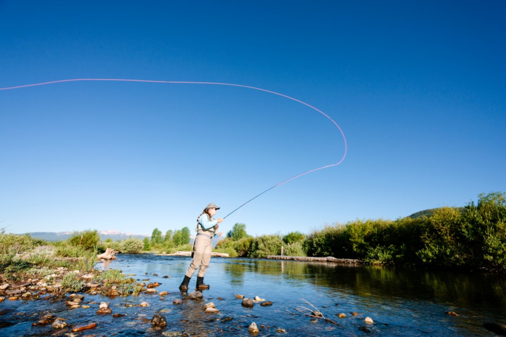 A woman fly fishes on the stony bank of a Yellowstone river, Parade Rest Ranch, Montana, USA.