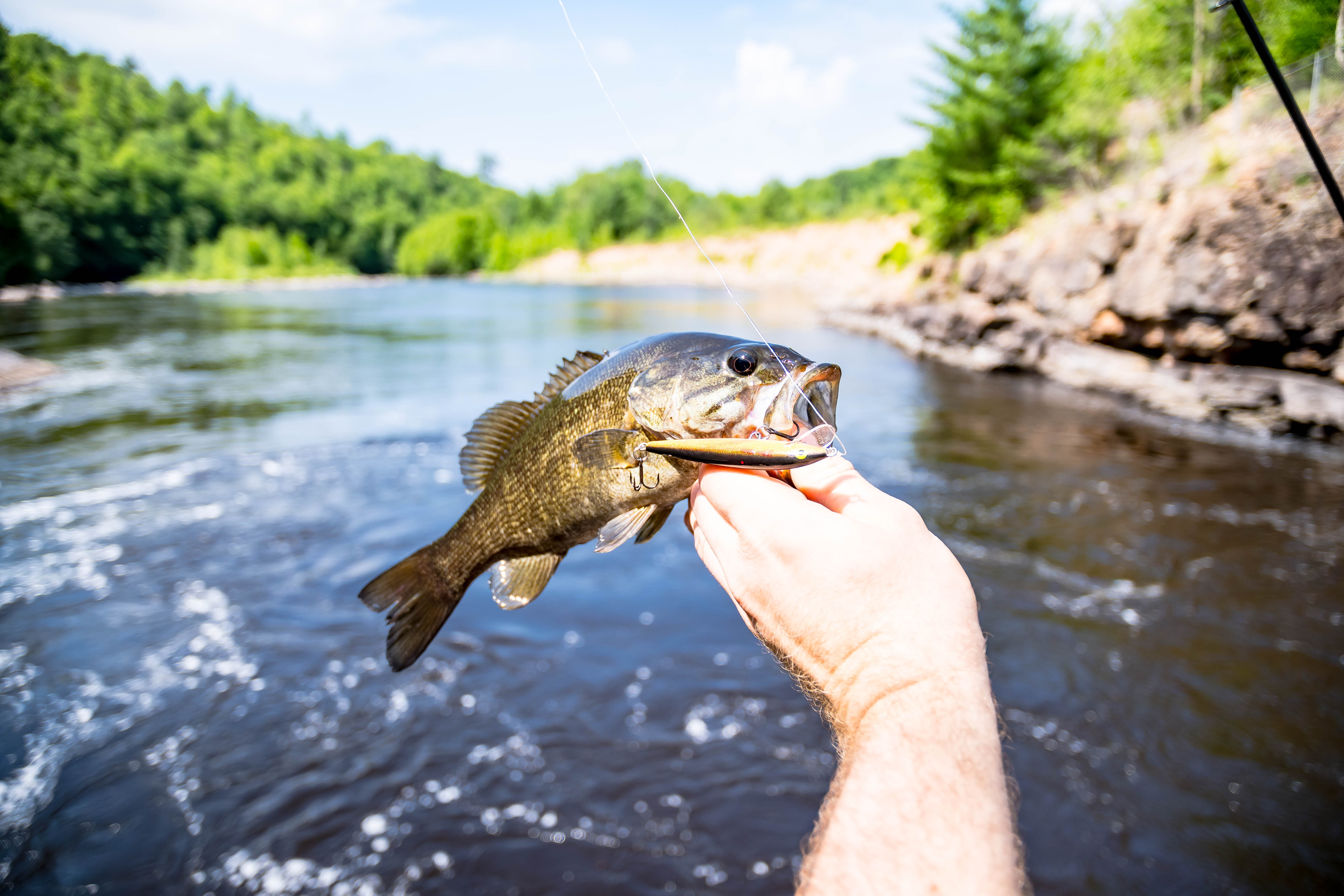 Spring Bass Fishing Tips for Spawn Season, from a Veteran Angler