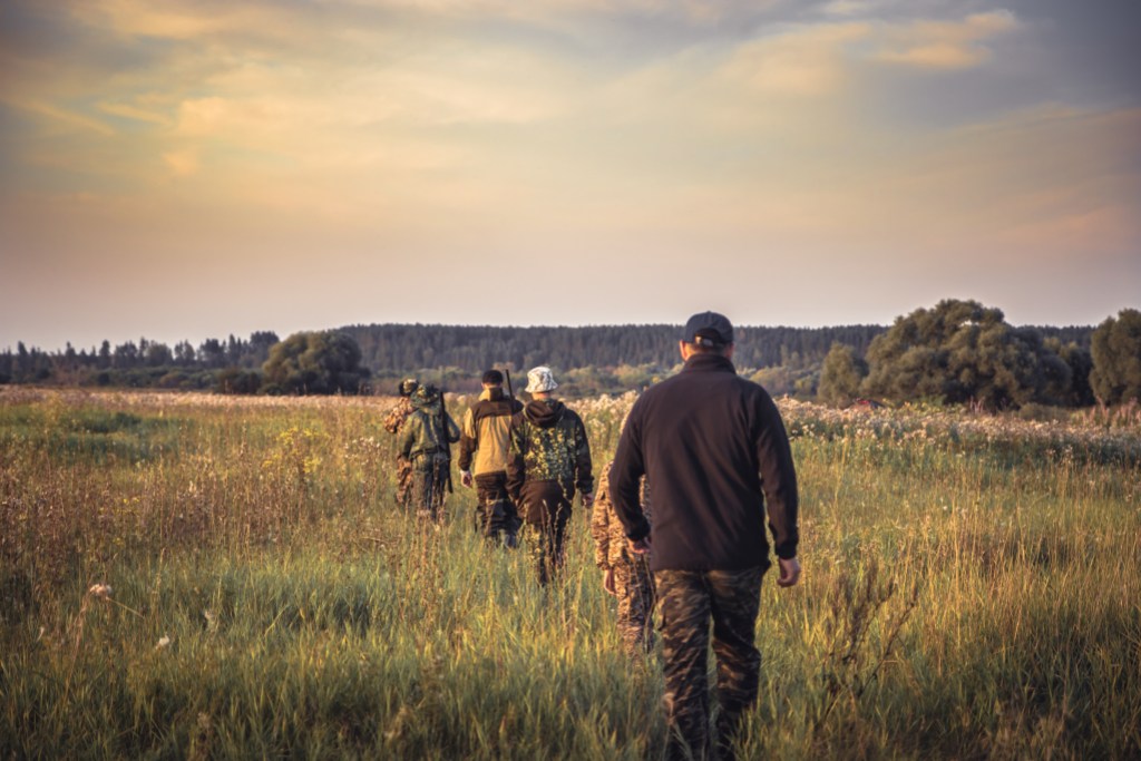 Group of men in a row going away through rural field at sunset during hunting season in countryside