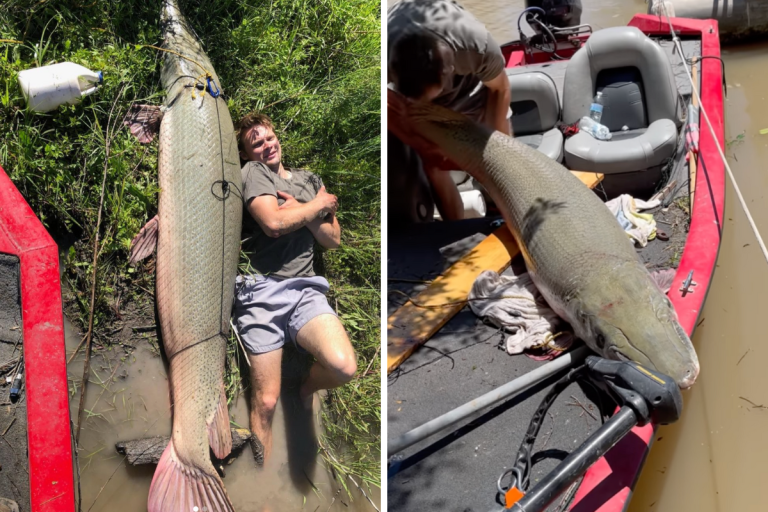 Texas Angler Reels in a 207 Pound Alligator Gar
