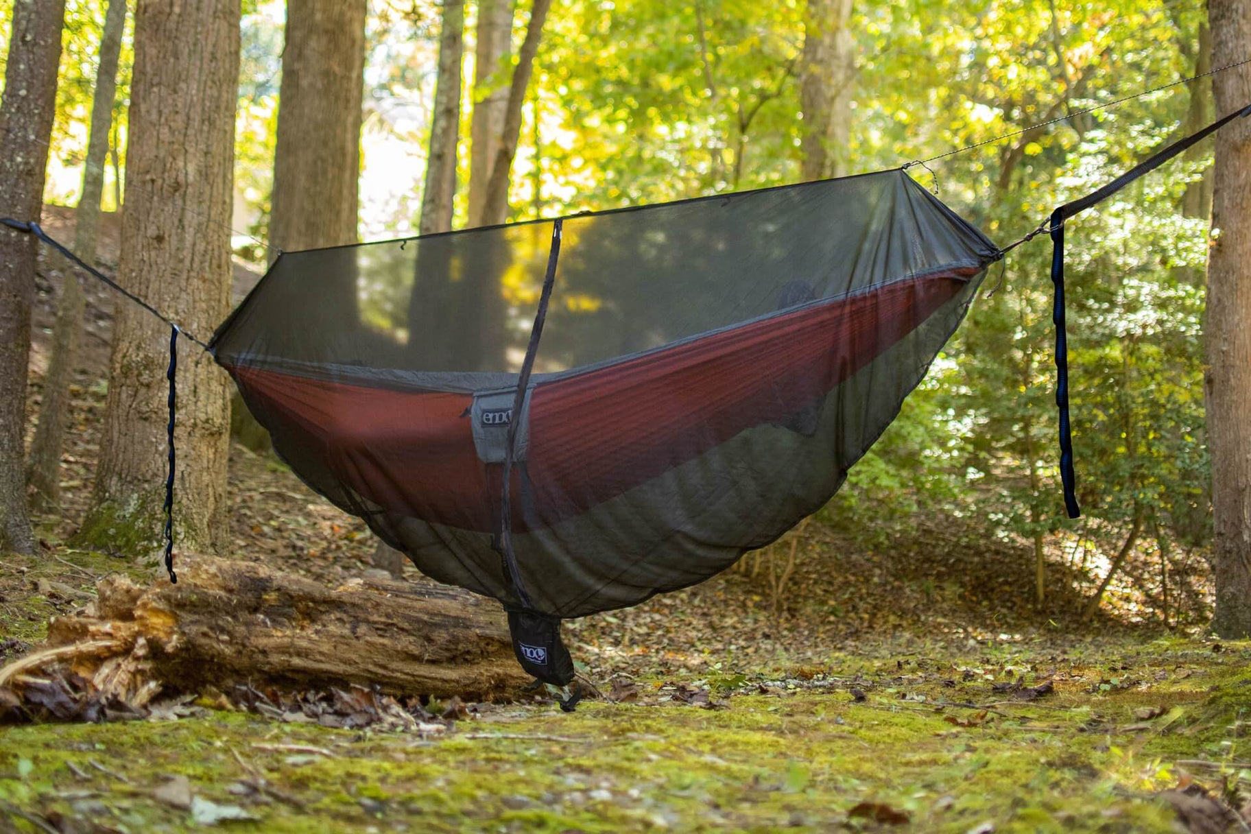 A large net open over a grassy campsite 