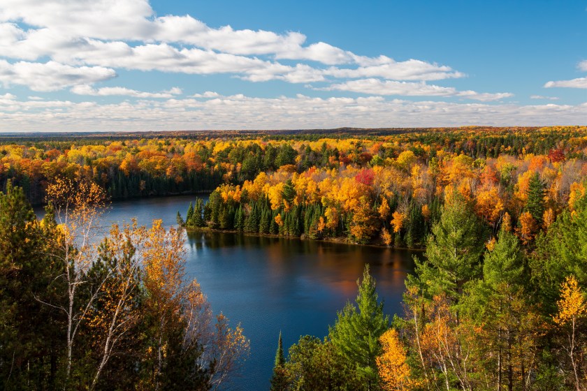 A sunny Michigan view of the AuSable River Cooke Dam Pond section on a bright autumn day with the forest in full fall colors
