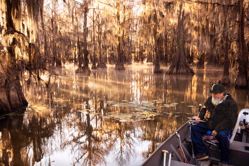 Senior man with long gray beard fishes from his boat on a calm quiet day in a bald cypress swamp, Caddo Lake, on the border between Louisiana and Texas, USA