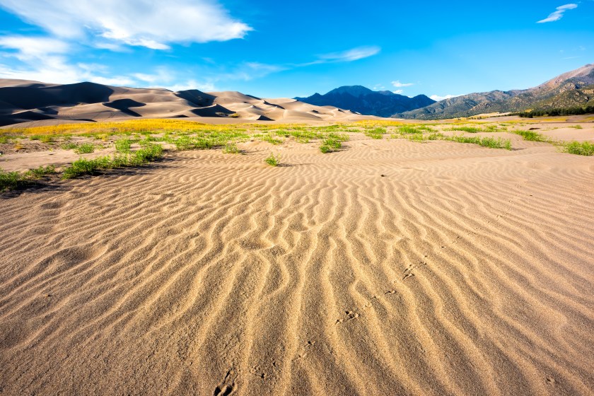Great Sand Dunes National Park and Preserve in Colorado in autumn fall season wide angle view of landscape and blue sky