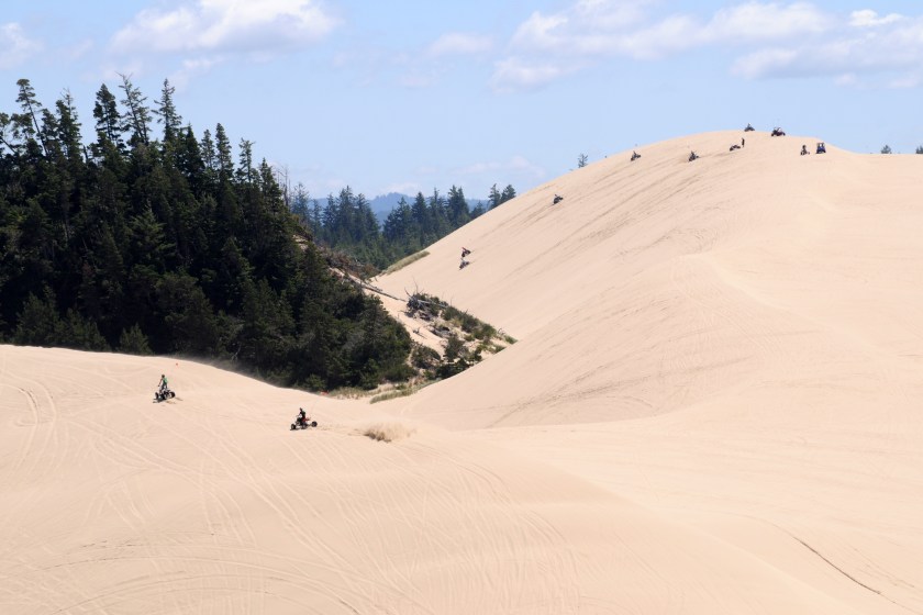 A dozen ATVs explore and challenge the Winchester Bay (or Umpqua) area of the Oregon Dunes National Recreation Area. Summer, tall dunes, steep slipfaces, evergreen trees, sunlight, partly cloudy blue skies. 