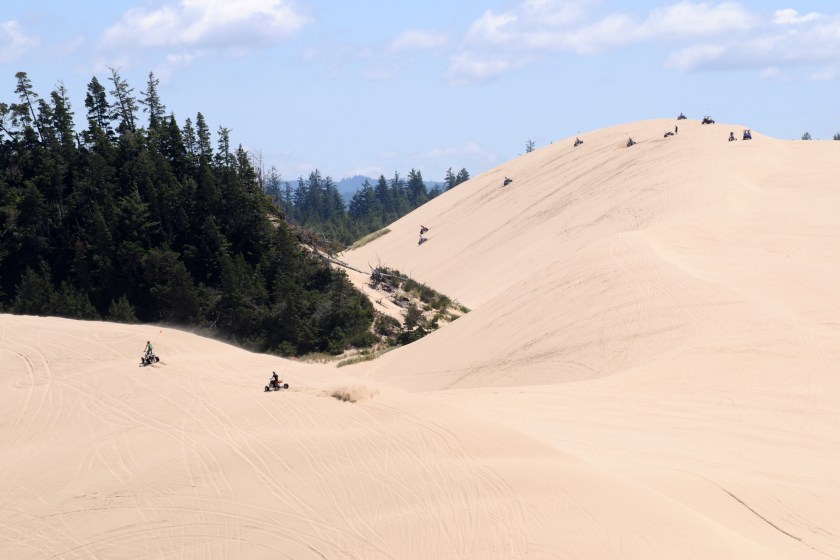 A dozen ATVs explore and challenge the Winchester Bay (or Umpqua) area of the Oregon Dunes National Recreation Area. Summer, tall dunes, steep slipfaces, evergreen trees, sunlight, partly cloudy blue skies.