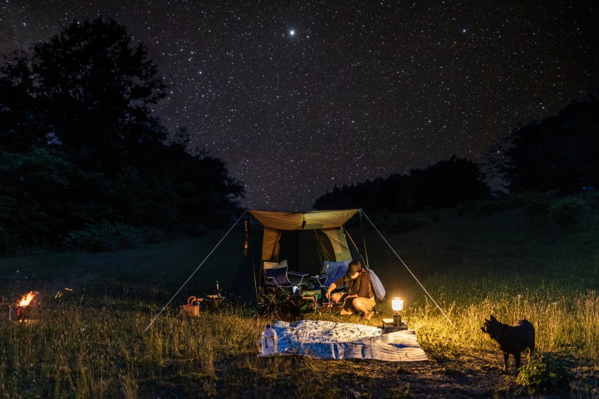 Camping scene under a sky full of stars with a woman and her dog around a lantern.