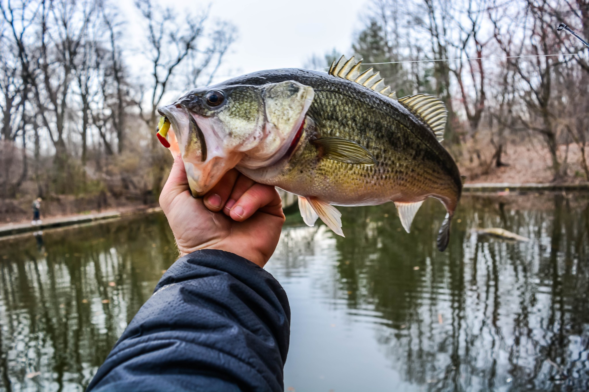 10 Best Bass Fishing Lakes of the Southern U.S. Wide Open Spaces