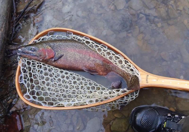 Orvis Brodin Eco-Clear Nets