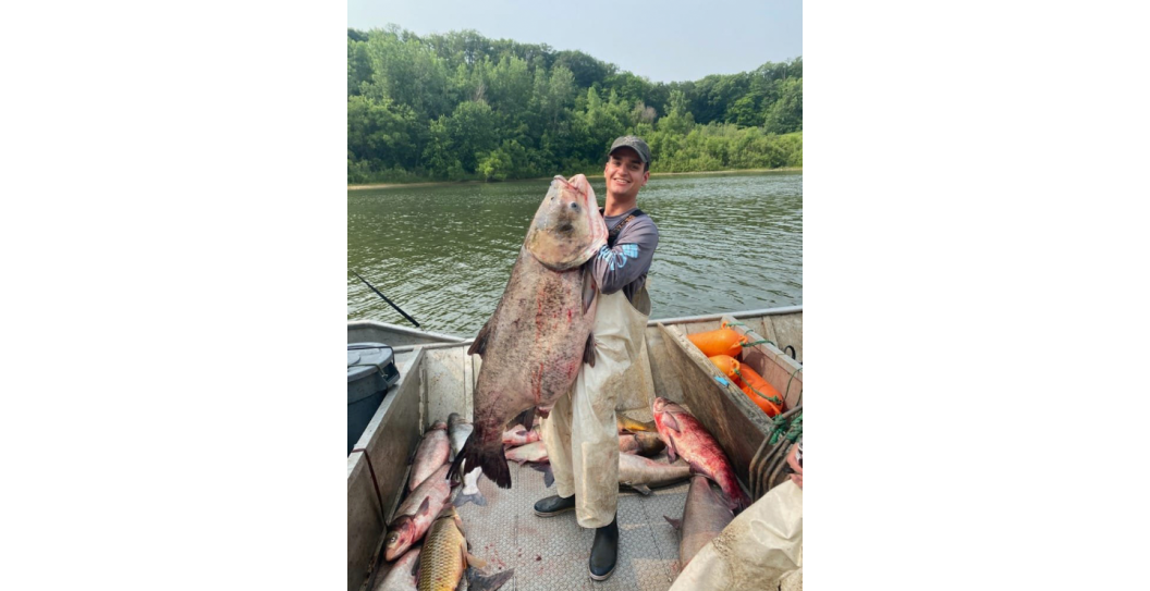 Illinois River Biological Station giant carp