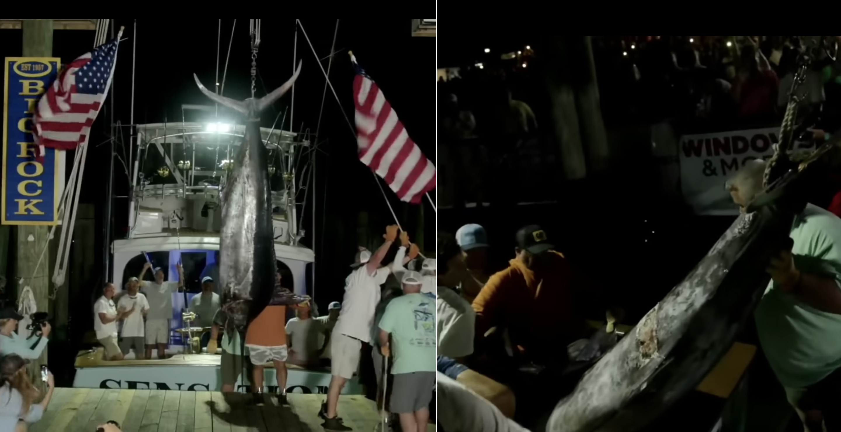 marlin DQ'd Big Rock Blue Marlin Tournament