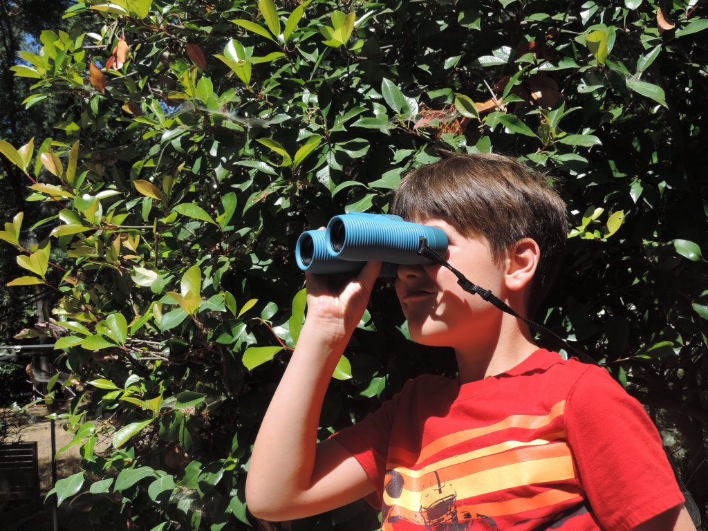 Kid looks through Nocs Field Issue binoculars