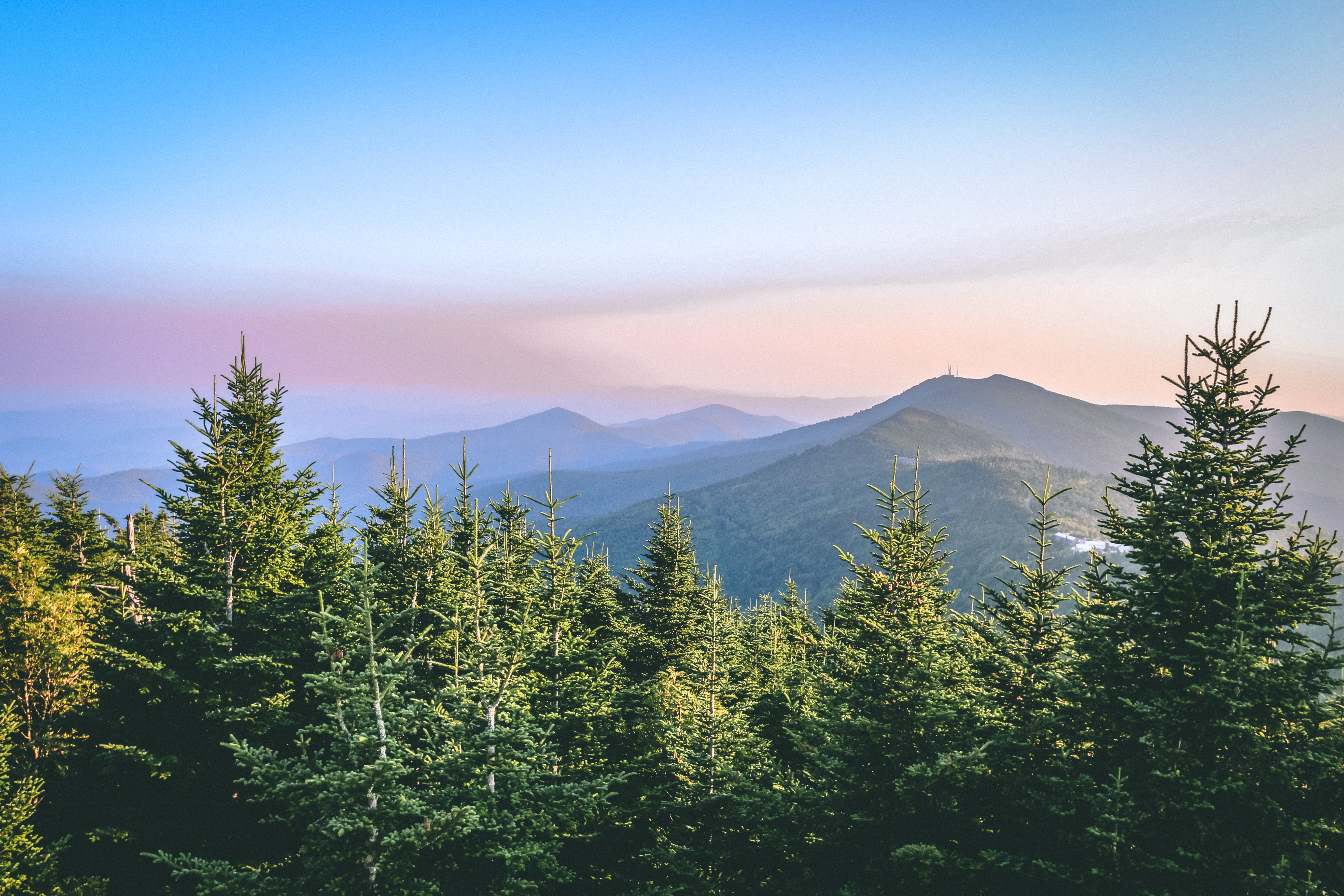 A vista of Mount Mitchell near Asheville, North Carolina.