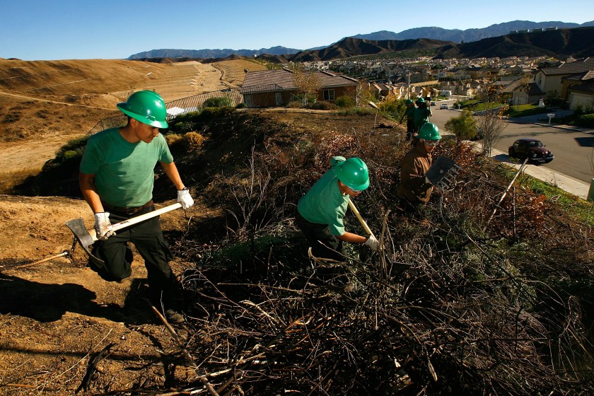 Youth Conservation Corps members work to remove brush in Los Angeles, California. 