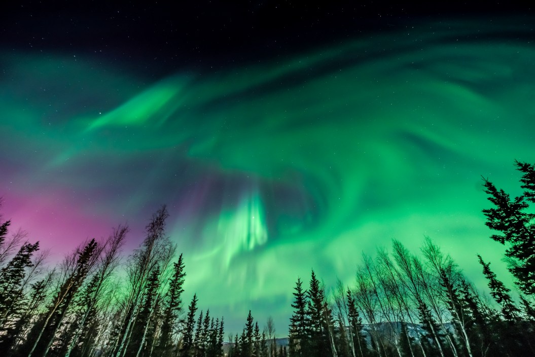 the aurora borealis, Northern Lights, in the sky outside of Fairbanks, Alaska