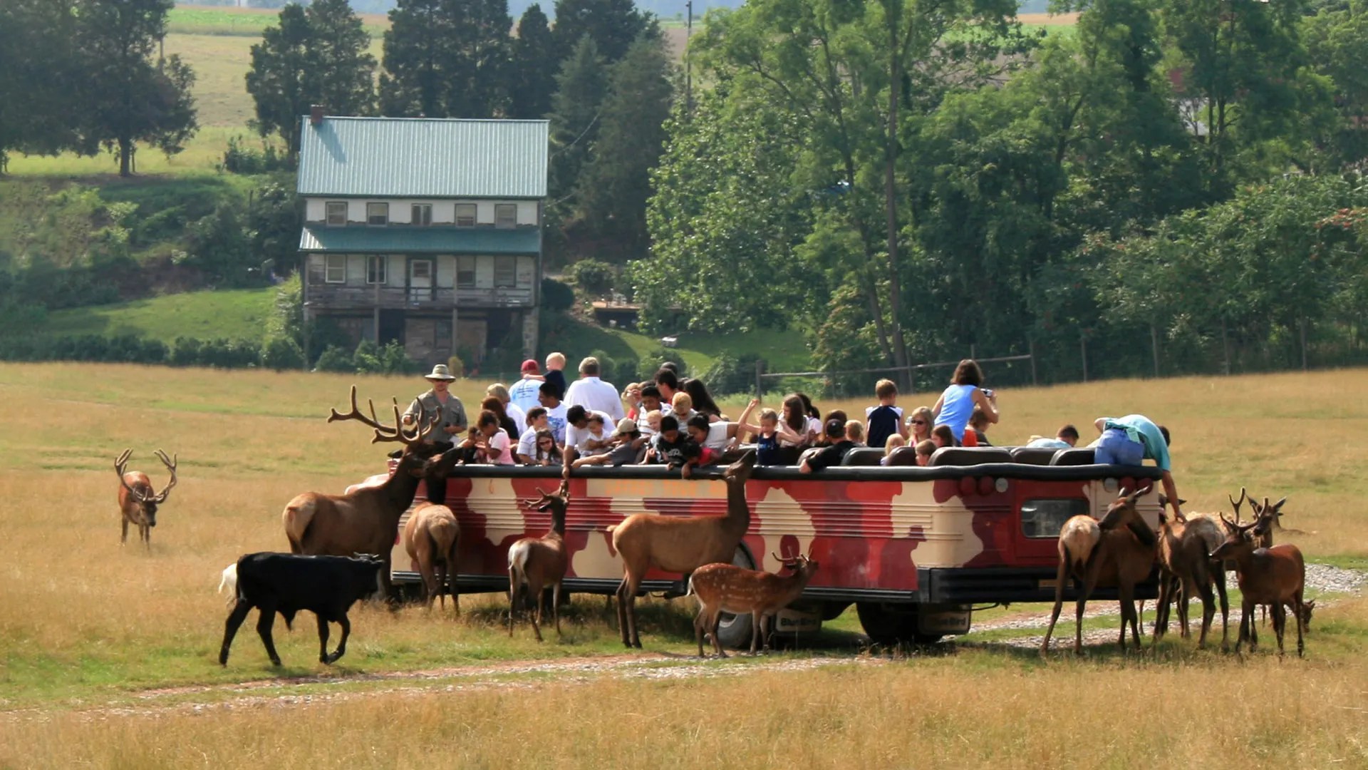 Lake Tobias Wildlife Park safari tour