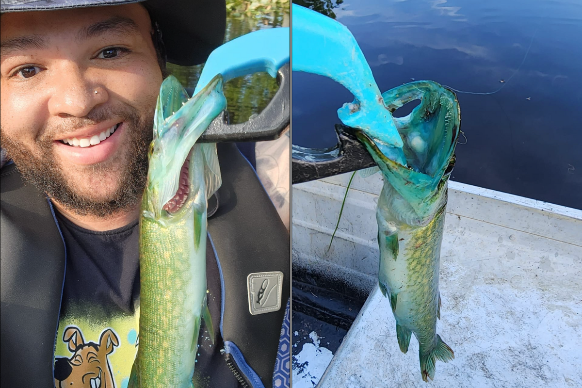 John Byrd Jr. hold up a blue-mouthed pickerel.