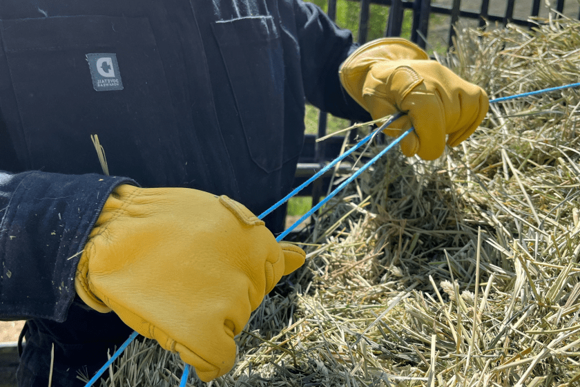 Dovetail Workwear for women used in the field