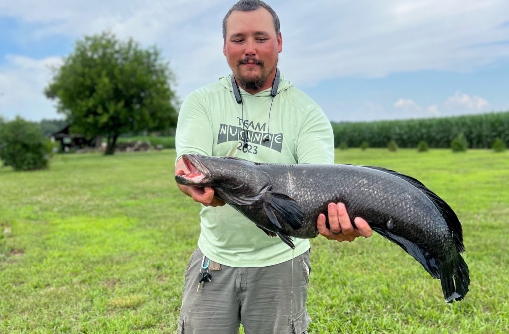Maryland Has a New Snakehead Record Wide Open Spaces