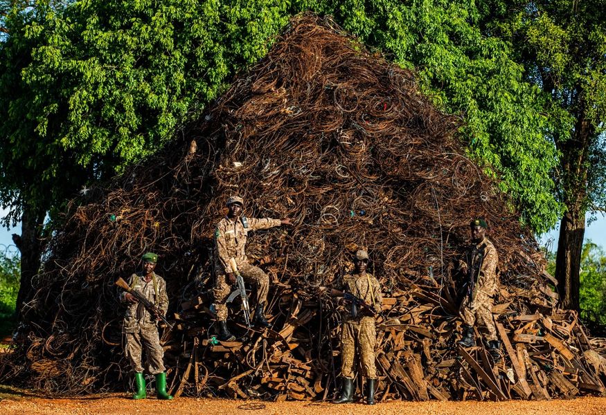Astounding Images Show Enormity of Poaching Problem in Africa