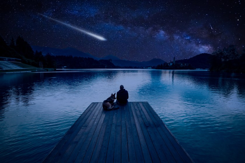 Man with dog looking at Perseids Meteor Shower at lake Bled