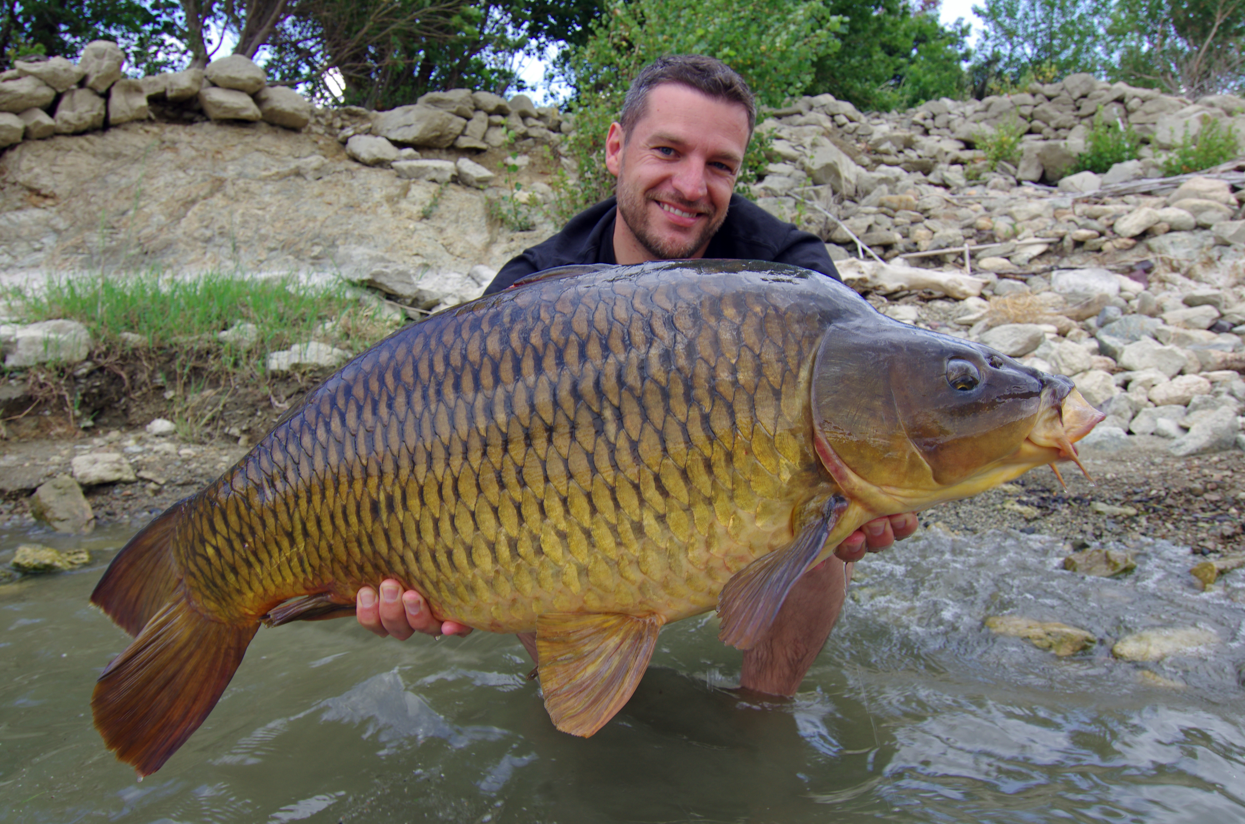 Carp fishing. lucky fisherman holding a big common carp