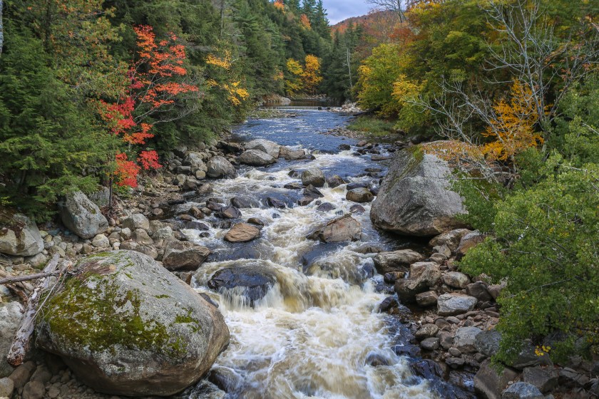 Best Trout Fishing in New York 5 Trout Streams You Can't Miss