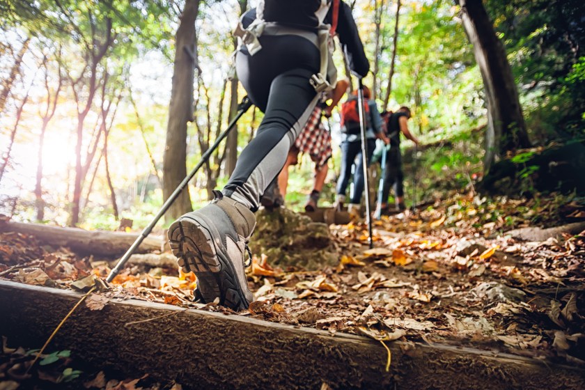 Hiker woman with trekking sticks climbs steep on mountain trail, focus on boot