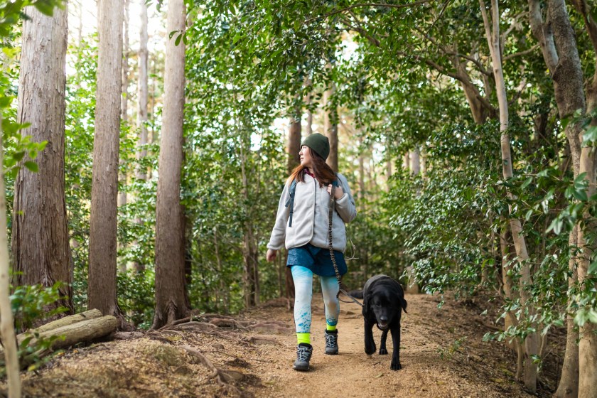 Japanese lady hiking with her black Labrador dog on a mountain forest trail.