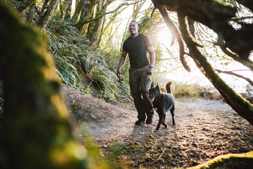 An African American man enjoys the Pacific Northwest, hiking a sunny forest trail in Washington state with his German Shepherd mix dog. Fun adventure and discovery with his best friend.
