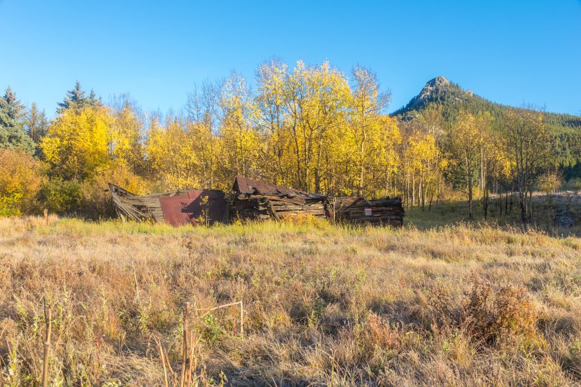 Abandoned cabin in front of golden aspen leaves in Golden Gate Canyon State Park, Colroado, USA. Colorado campsites