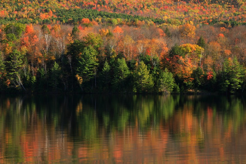 Fall foliage reflected in the Connecticut River, Vermont.