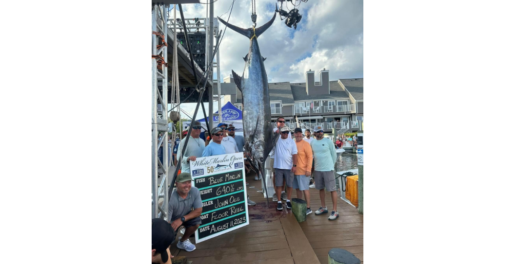 The crew of Floor Reel stands with their winning marlin.
